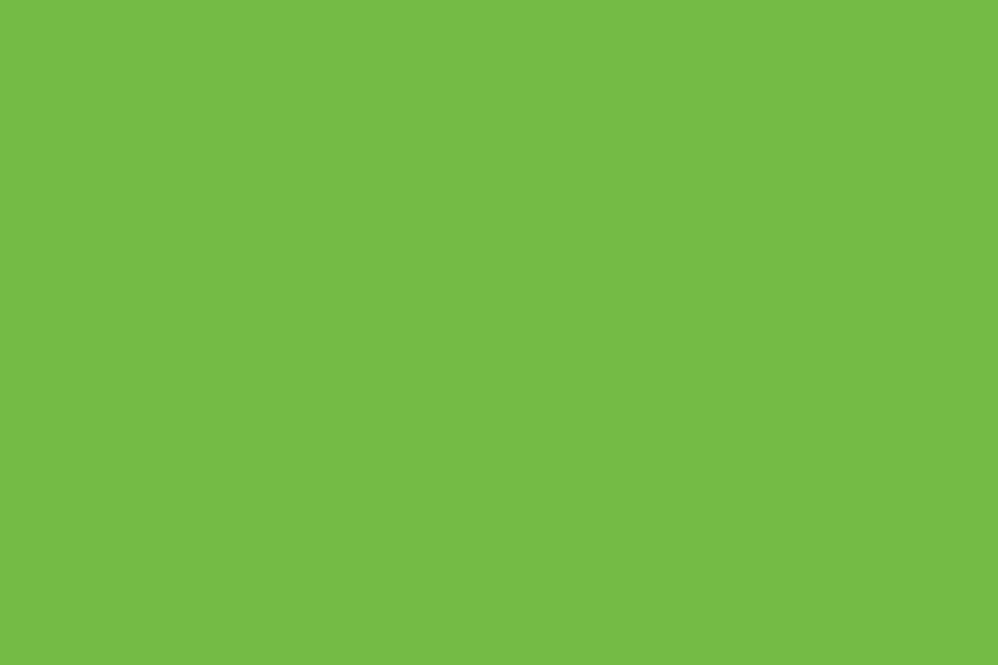 Worlds of Wow Colors Gecko Green