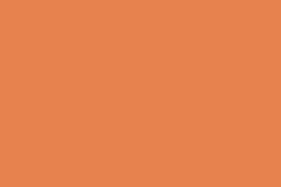 Worlds of Wow Colors Orange
