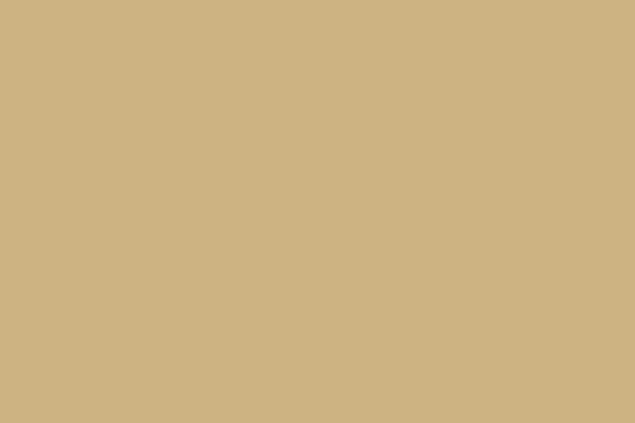 Worlds of Wow Colors Tan